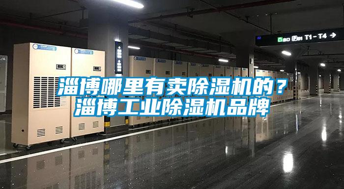 淄博哪里有賣除濕機的？淄博工業(yè)除濕機品牌