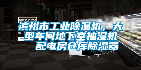 濱州市工業(yè)除濕機，大型車間地下室抽濕機  配電房倉庫除濕器