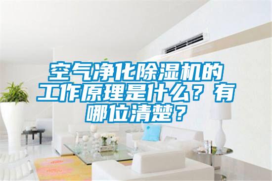 空氣凈化除濕機(jī)的工作原理是什么？有哪位清楚？