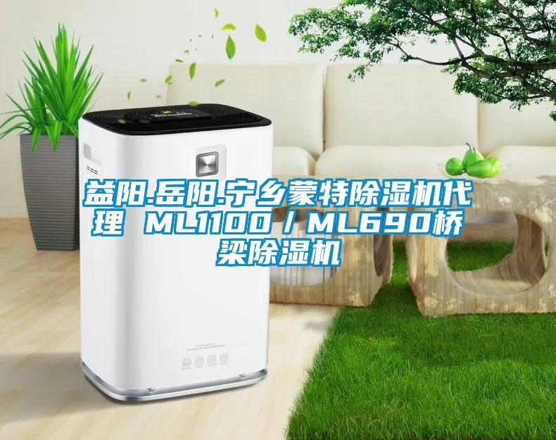 益陽(yáng).岳陽(yáng).寧鄉(xiāng)蒙特除濕機(jī)代理 ML1100／ML690橋梁除濕機(jī)