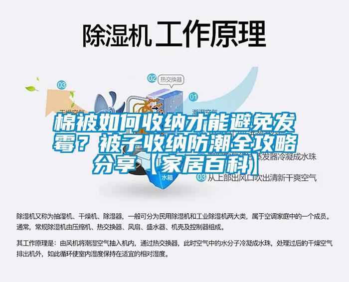 棉被如何收納才能避免發(fā)霉？被子收納防潮全攻略分享【家居百科】