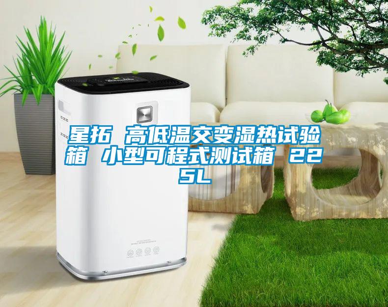 星拓 高低溫交變濕熱試驗(yàn)箱 小型可程式測試箱 225L