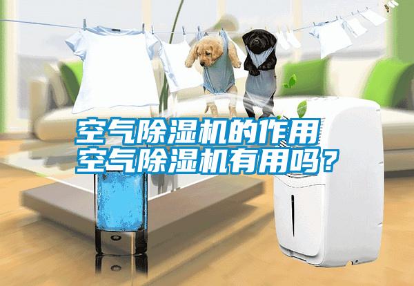 空氣除濕機的作用 空氣除濕機有用嗎？