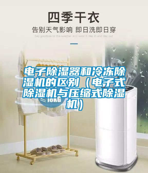 電子除濕器和冷凍除濕機(jī)的區(qū)別（電子式除濕機(jī)與壓縮式除濕機(jī)）