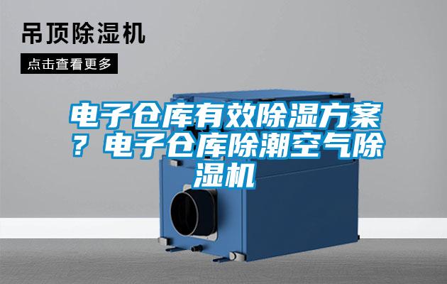 電子倉庫有效除濕方案？電子倉庫除潮空氣除濕機(jī)