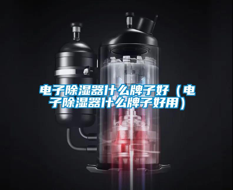 電子除濕器什么牌子好（電子除濕器什么牌子好用）