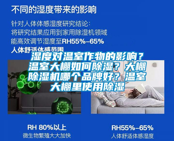 濕度對溫室作物的影響？溫室大棚如何除濕？大棚除濕機哪個品牌好？溫室大棚里使用除濕