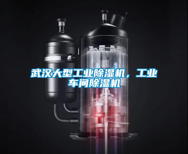 武漢大型工業(yè)除濕機，工業(yè)車間除濕機