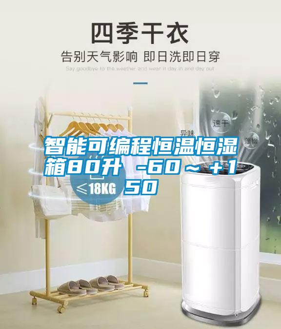 智能可編程恒溫恒濕箱80升 -60～＋150℃