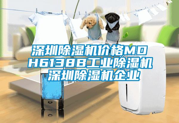 深圳除濕機(jī)價格MDH6138B工業(yè)除濕機(jī) 深圳除濕機(jī)企業(yè)