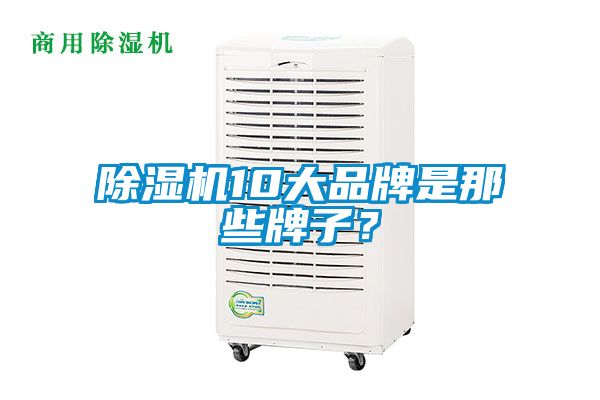 除濕機10大品牌是那些牌子？