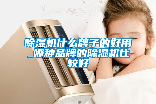 除濕機什么牌子的好用_哪種品牌的除濕機比較好