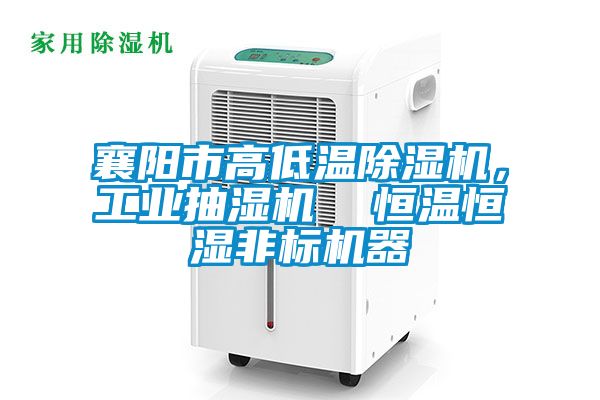 襄陽市高低溫除濕機，工業(yè)抽濕機  恒溫恒濕非標(biāo)機器