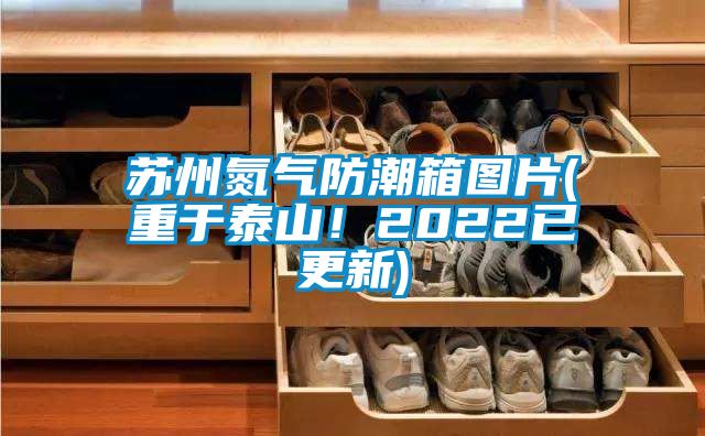 蘇州氮?dú)夥莱毕鋱D片(重于泰山！2022已更新)