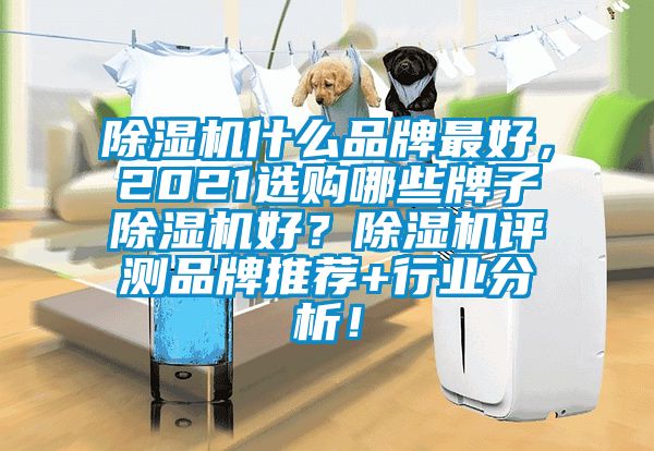 除濕機(jī)什么品牌最好，2021選購哪些牌子除濕機(jī)好？除濕機(jī)評測品牌推薦+行業(yè)分析！