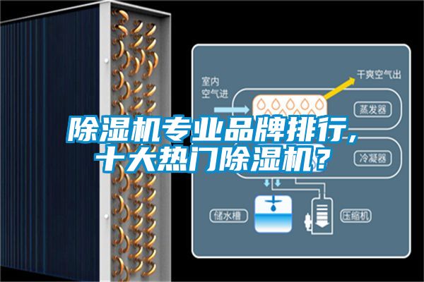 除濕機(jī)專業(yè)品牌排行,十大熱門除濕機(jī)？