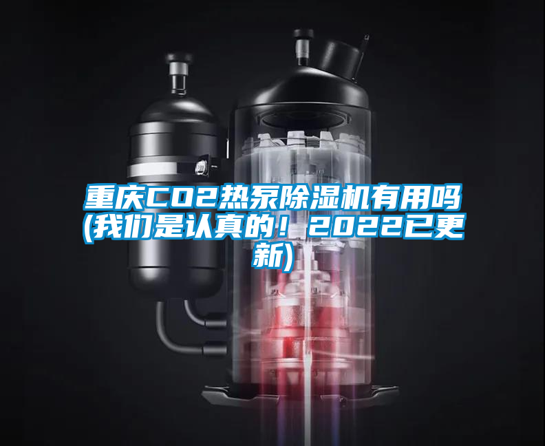 重慶CO2熱泵除濕機有用嗎(我們是認真的！2022已更新)