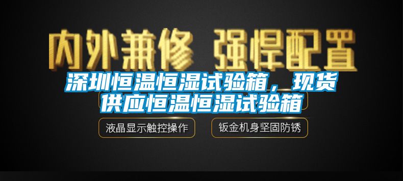 深圳恒溫恒濕試驗箱，現貨供應恒溫恒濕試驗箱