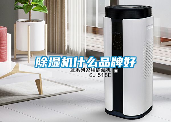 除濕機(jī)什么品牌好