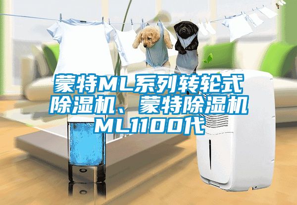 蒙特ML系列轉(zhuǎn)輪式除濕機(jī)、蒙特除濕機(jī)ML1100代