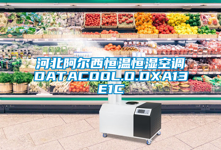 河北阿爾西恒溫恒濕空調(diào)DATACOOL.O.DXA13E1C