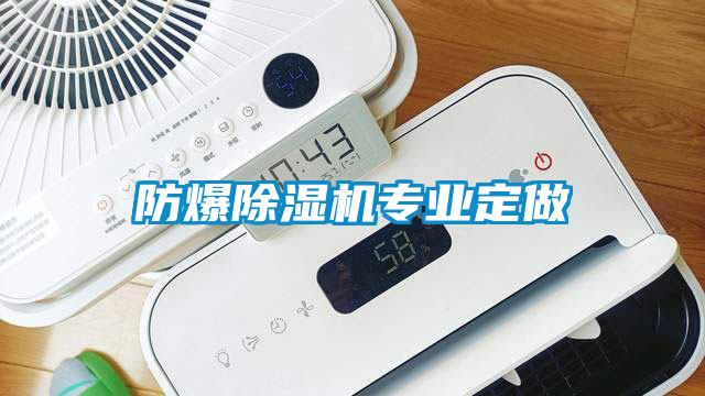 防爆除濕機專業(yè)定做