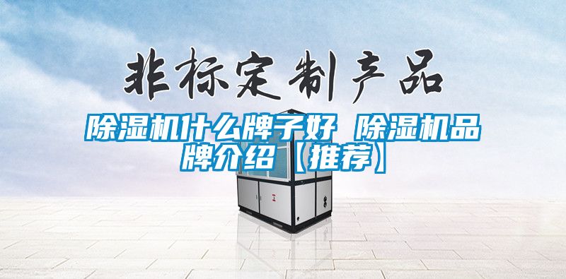 除濕機(jī)什么牌子好 除濕機(jī)品牌介紹【推薦】