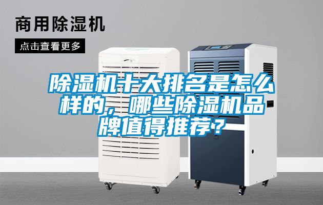 除濕機十大排名是怎么樣的，哪些除濕機品牌值得推薦？