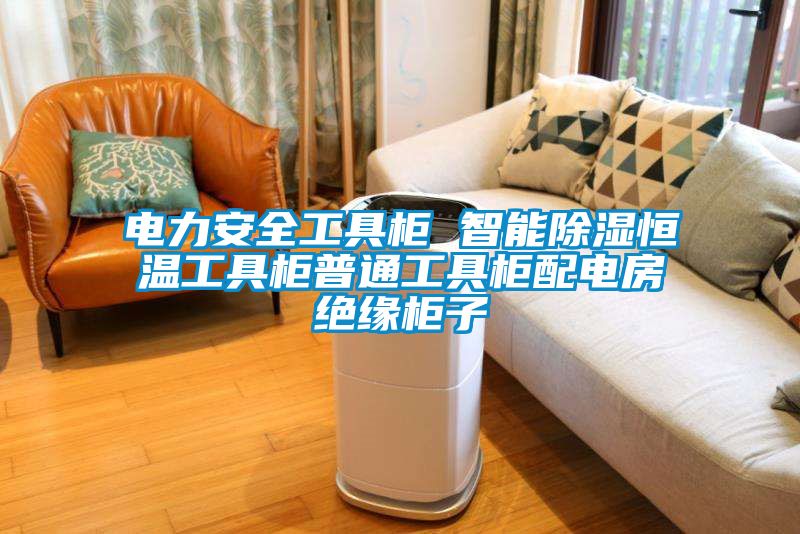 電力安全工具柜 智能除濕恒溫工具柜普通工具柜配電房絕緣柜子