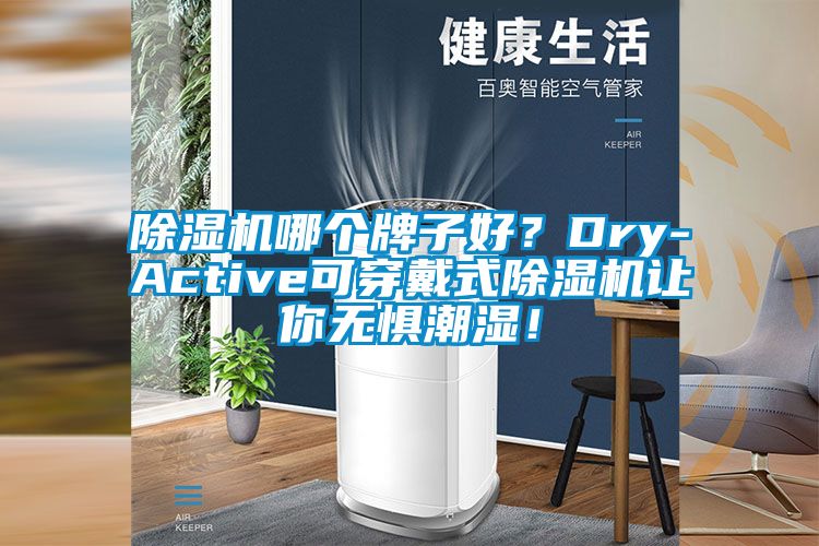 除濕機哪個牌子好？Dry-Active可穿戴式除濕機讓你無懼潮濕！