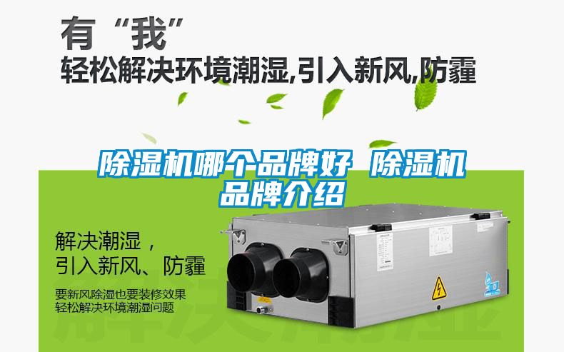 除濕機哪個品牌好 除濕機品牌介紹