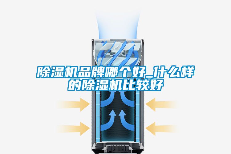 除濕機品牌哪個好_什么樣的除濕機比較好