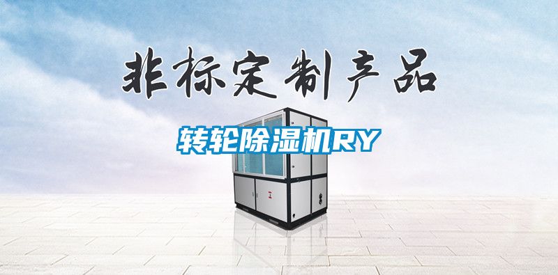 轉(zhuǎn)輪除濕機(jī)RY