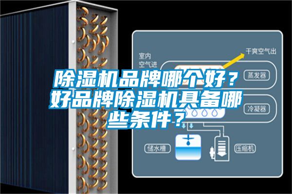 除濕機(jī)品牌哪個(gè)好？好品牌除濕機(jī)具備哪些條件？