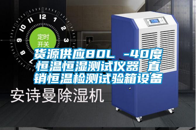 貨源供應(yīng)80L -40度恒溫恒濕測(cè)試儀器 直銷恒溫檢測(cè)試驗(yàn)箱設(shè)備