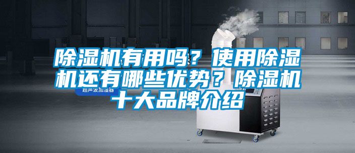 除濕機有用嗎？使用除濕機還有哪些優(yōu)勢？除濕機十大品牌介紹