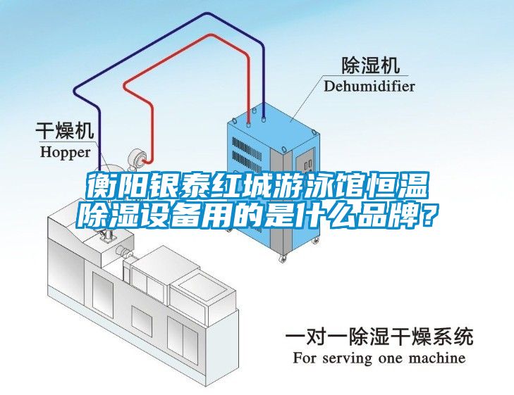 衡陽銀泰紅城游泳館恒溫除濕設(shè)備用的是什么品牌？