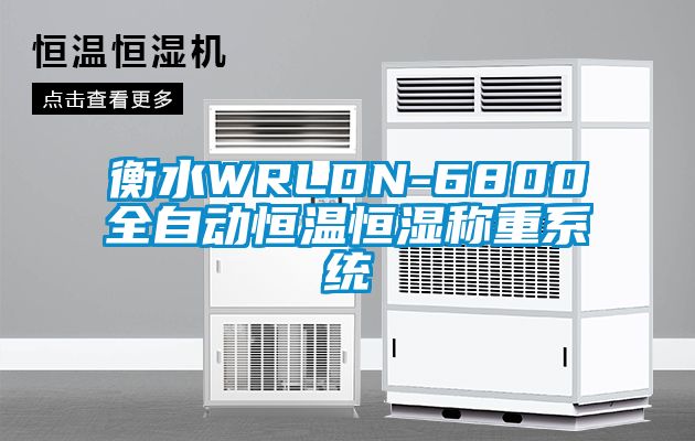 衡水WRLDN-6800全自動恒溫恒濕稱重系統(tǒng)