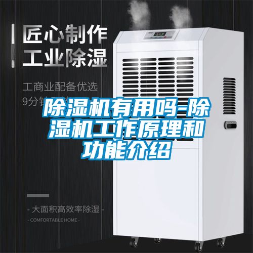 除濕機有用嗎-除濕機工作原理和功能介紹