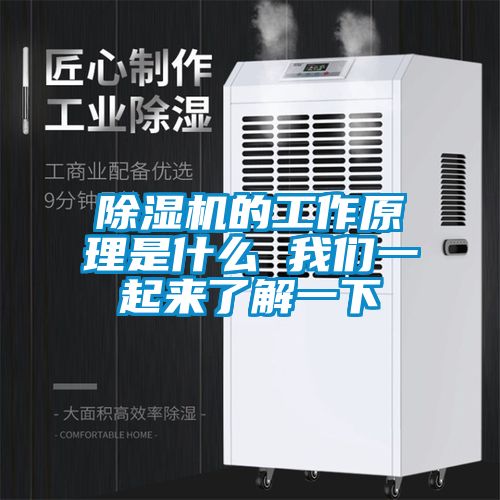 除濕機的工作原理是什么 我們一起來了解一下