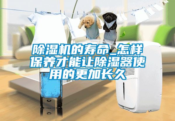 除濕機的壽命_怎樣保養(yǎng)才能讓除濕器使用的更加長久