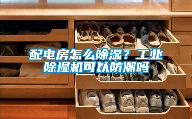 配電房怎么除濕？工業(yè)除濕機可以防潮嗎