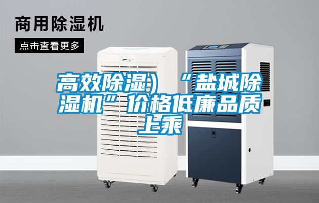 高效除濕）“鹽城除濕機”價格低廉品質上乘