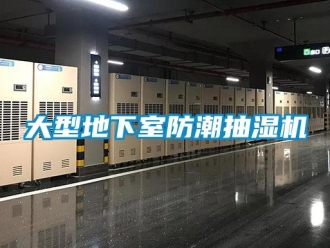 企業(yè)新聞大型地下室防潮抽濕機(jī)