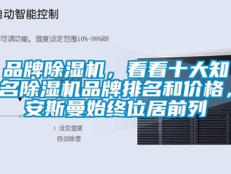 企業(yè)新聞品牌除濕機，看看十大知名除濕機品牌排名和價格，安斯曼始終位居前列