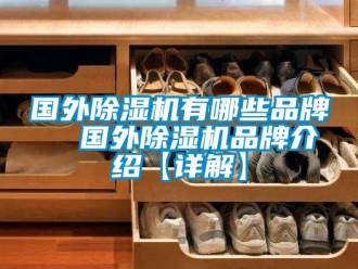 企業(yè)新聞國外除濕機(jī)有哪些品牌  國外除濕機(jī)品牌介紹【詳解】