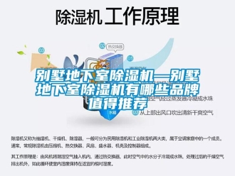 企業(yè)新聞別墅地下室除濕機(jī)—?jiǎng)e墅地下室除濕機(jī)有哪些品牌值得推薦