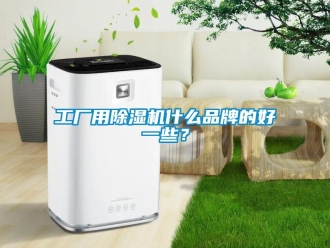 企業(yè)新聞工廠用除濕機(jī)什么品牌的好一些？