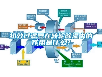 企業(yè)新聞初效過濾器在轉(zhuǎn)輪除濕中的作用是什么？