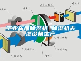 常見問題工業(yè)車間除濕機 除濕機去濕設(shè)備生產(chǎn)